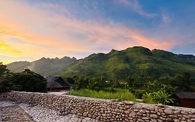 Wild Orchid- Lan Home